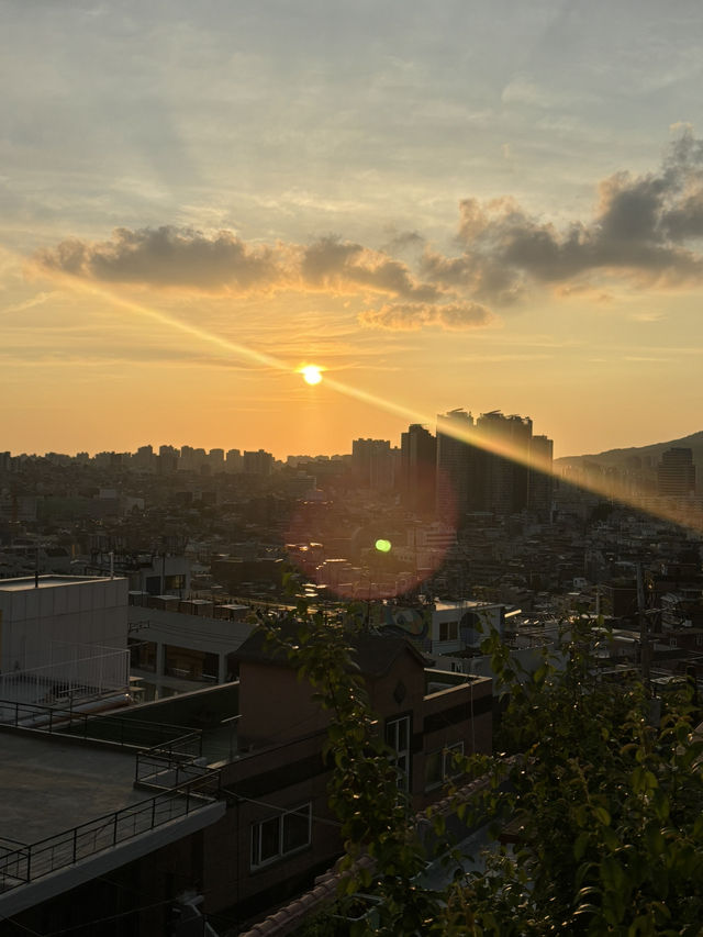 남산뷰 카페가보자