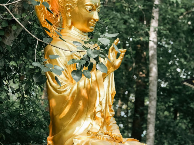 金色に輝く祈りの場所、プラタート・チョーヘーで心を清めよう✨🙏