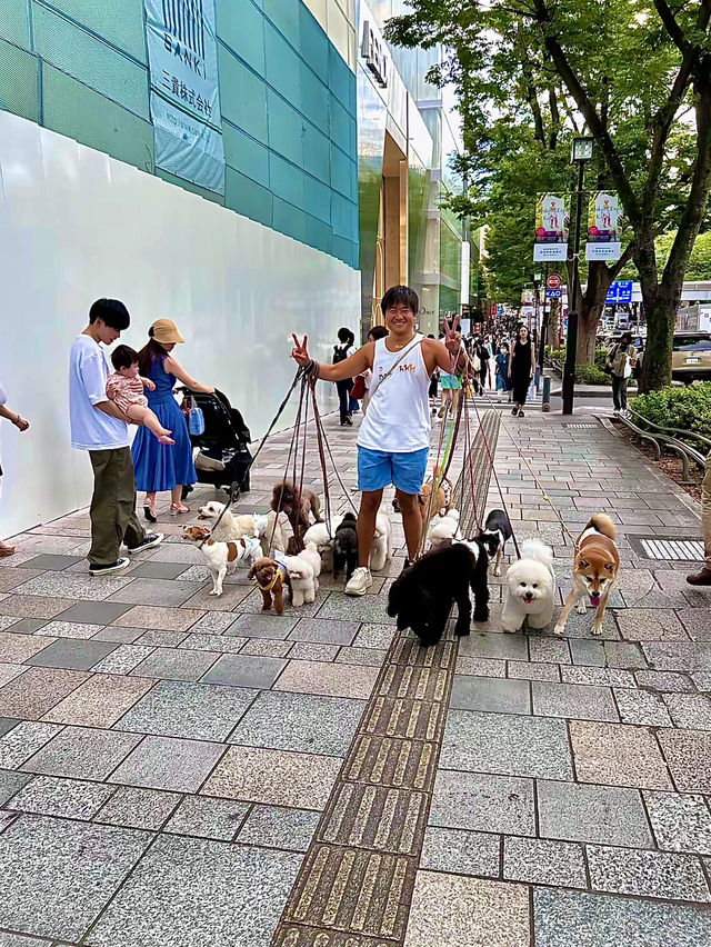โอซาก้า🇯🇵