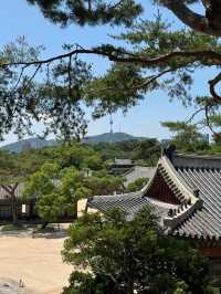 시간의 겹, 창경궁에서 바라본 서울