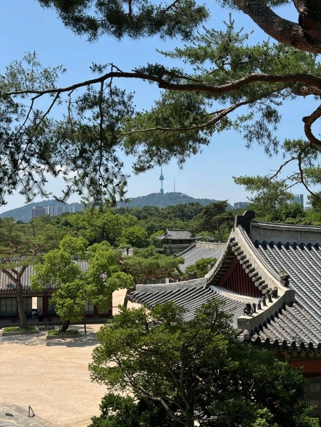 시간의 겹, 창경궁에서 바라본 서울