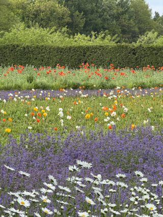 Hokkaido Travel in Japan