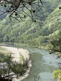 충주 당일치기 여행코스🩶🐊