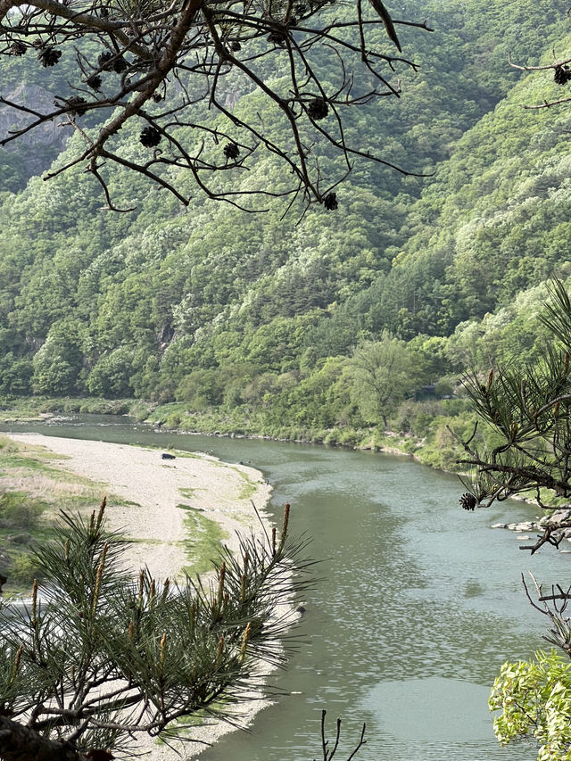 충주 당일치기 여행코스🩶🐊