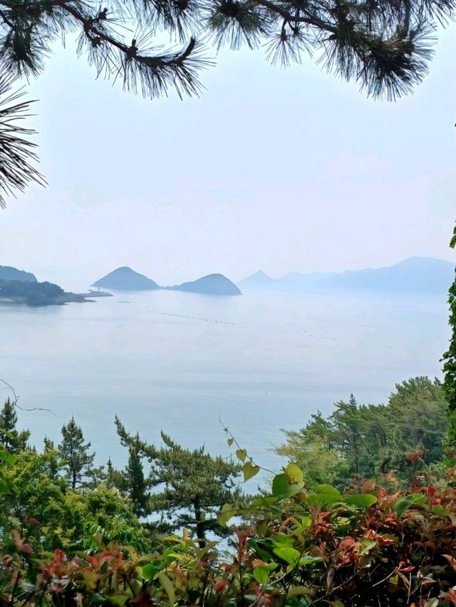 야외 산책에 제격인 주말 나들이, 공룡박물관 🌿🦖