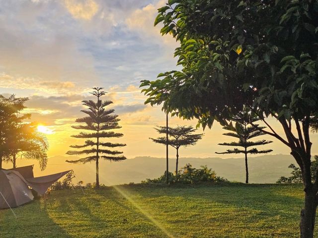 🌈ไร่ทวินวิว เขาค้อ⛈️🌲🌲🌲