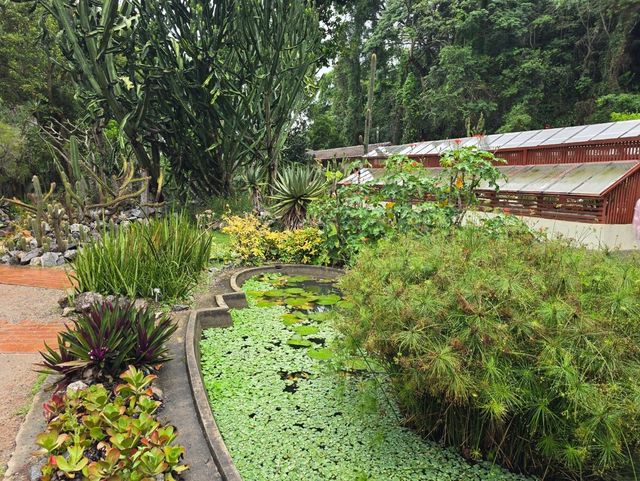 해외여행 브라질에서 가장 큰 식물원 Botanical Garden of Rio de Janeiro