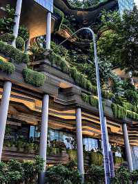 สิงคโปร์🇸🇬