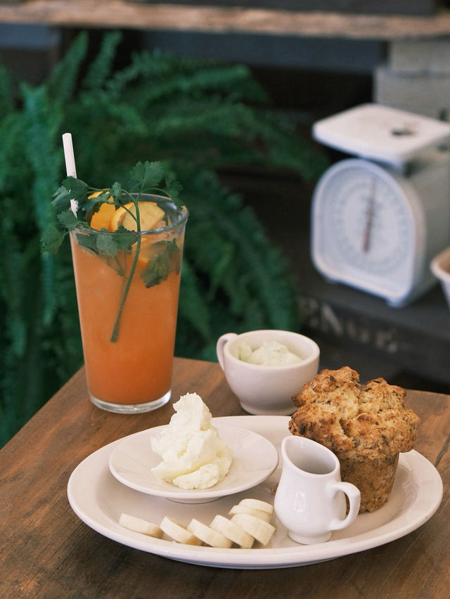 🌲🥹군자 유럽과일이 가득한 유럽감성 카페 베렌옵스트