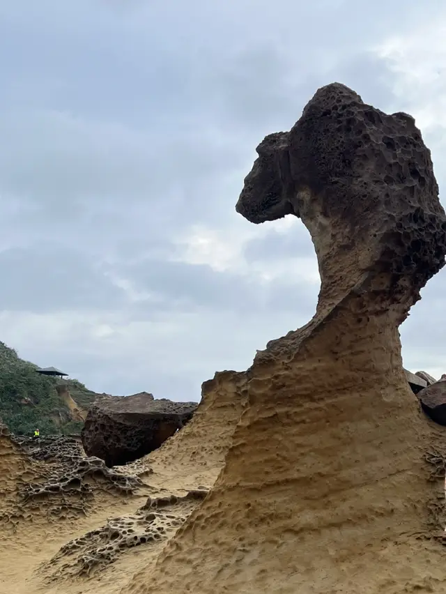 台北旅行記錄