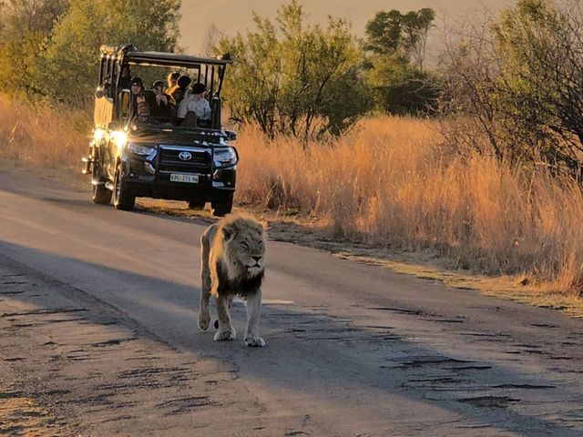 Hello,South Africa