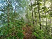 Quiet Trails and Big Sky Feels in Hongcheon