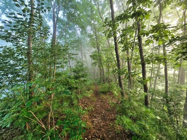 Quiet Trails and Big Sky Feels in Hongcheon