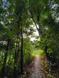 Morning Hike to a Hidden Gem: Emperor Villa Penang