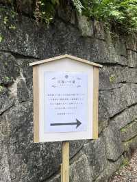 📍**【茨城・日立 泉神社（龍泉神社）】清泉と“龍の宿る木”が生むパワースポットで心を潤す旅**