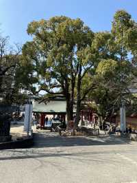 Dazaifu Tenmangu ขอพรเรื่องเรียนในบรรยากาศญี่ปุ่น