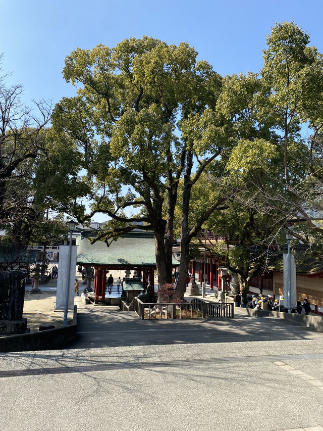 Dazaifu Tenmangu ขอพรเรื่องเรียนในบรรยากาศญี่ปุ่น