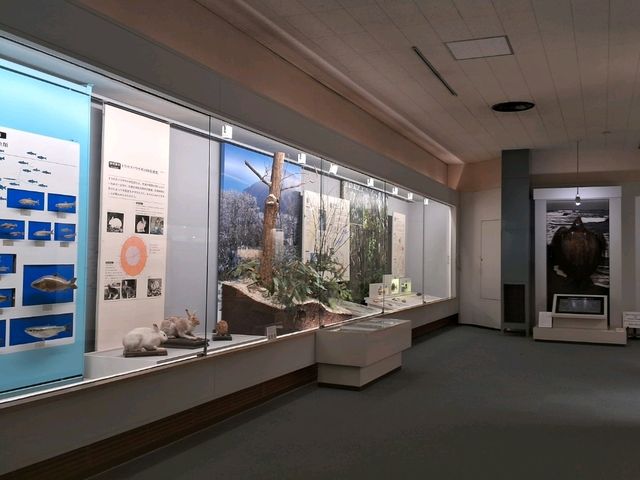 【山形】山形県立博物館で歴史を学びました！