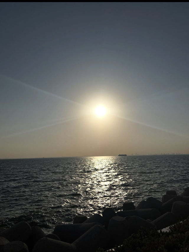 東京湾に浮かぶ絶景休憩スポット「海ほたるPA」で、空と海に包まれるドライブ旅