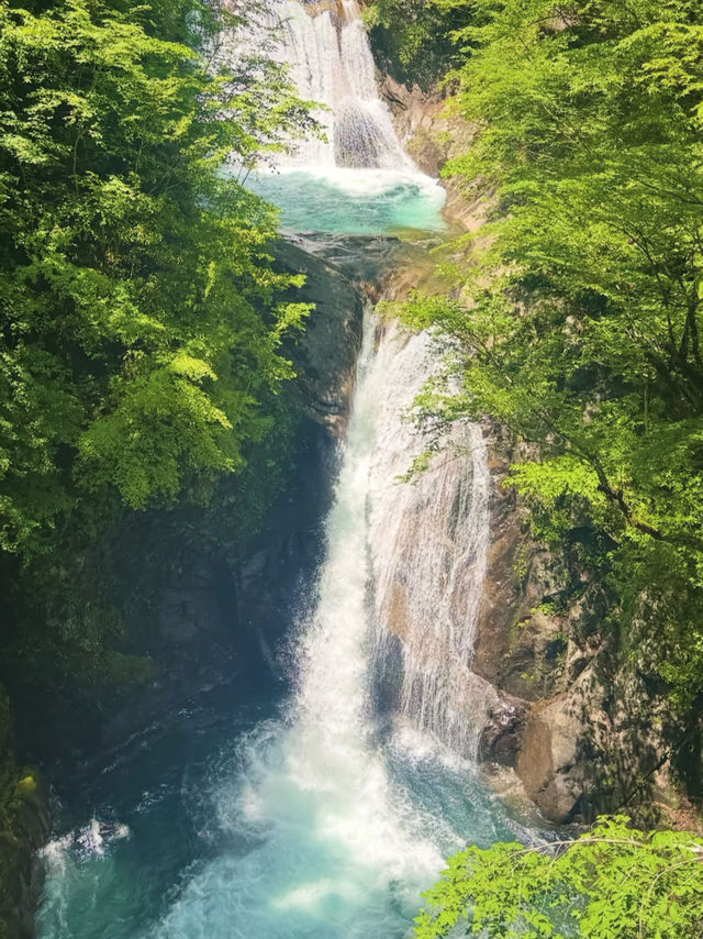 🌊滝と森に癒される絶景トレッキング！西沢渓谷で自然と一体になる旅🍃