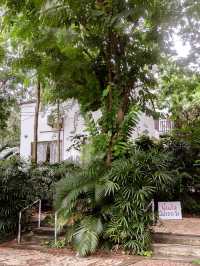 Calin Cafe คาเฟ่บ้านสีขาวในสวน ที่น่ารักมาก