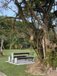 Evening Walks & Wind-Downs: My Chill Escape to Taman Tasik Cyberjaya