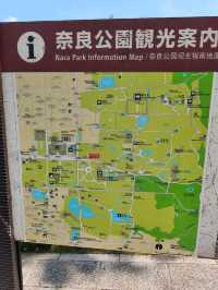 Nara park - must visit place in Japan