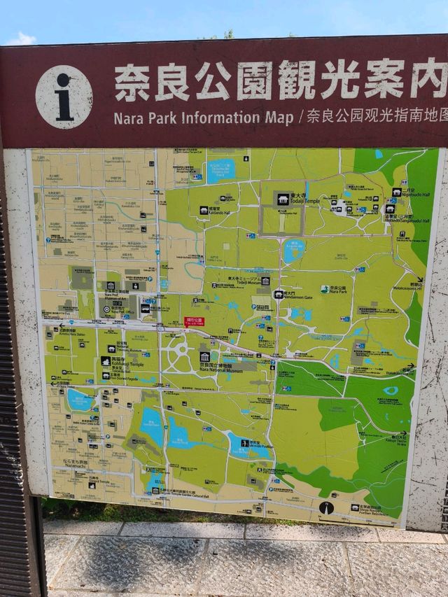 Nara park - must visit place in Japan