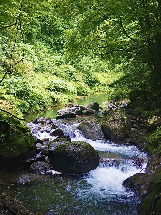 โอซาก้า🇯🇵