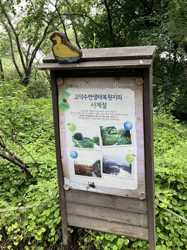 고덕 수변 생태 공원