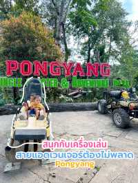 Pongyang junkle coaster zipline
