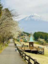 富士山周邊親子必遊！一邊欣賞富士美景一邊玩