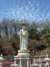 静かな時間が流れる場所、奉恩寺で心をリセット。🧘‍♀️✨