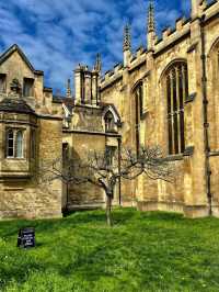 🇬🇧 Cambridge One-Day Trip — Classic Itinerary for First-Timers
