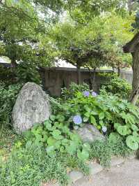 🍃都会のオアシス「清澄庭園」の魅力