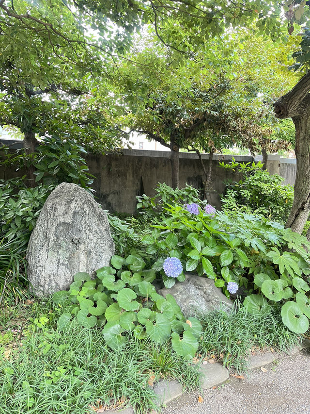 🍃都会のオアシス「清澄庭園」の魅力