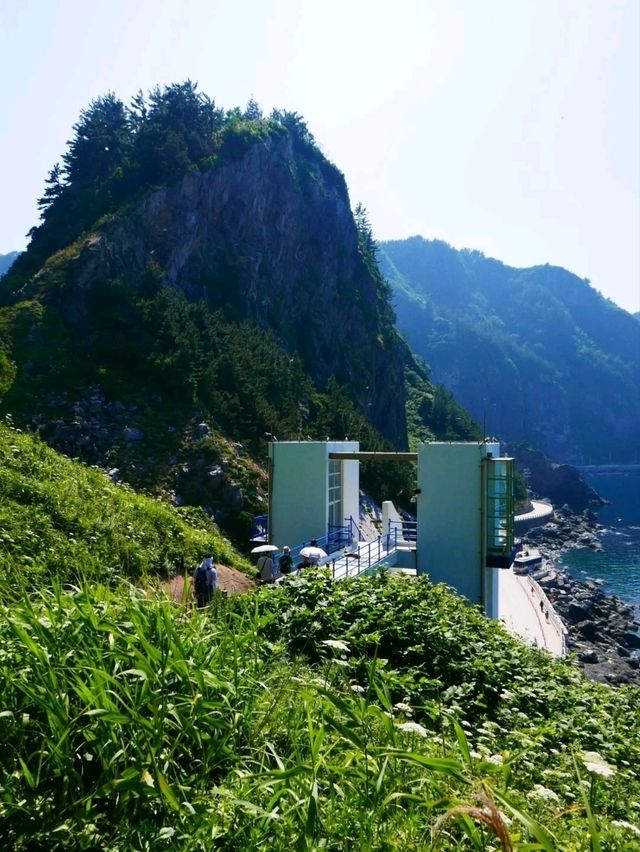 Views for Days, Chillin’ at Dokdo Observatory