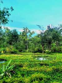Nostalgic feels at Cascading creeks