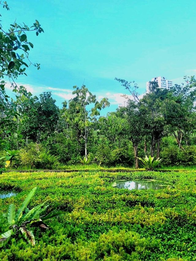 Nostalgic feels at Cascading creeks