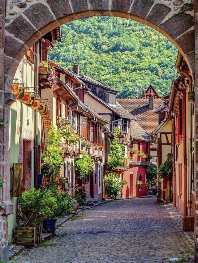 法國Alsace💐值得一去的6️⃣個絕美童話小鎮！