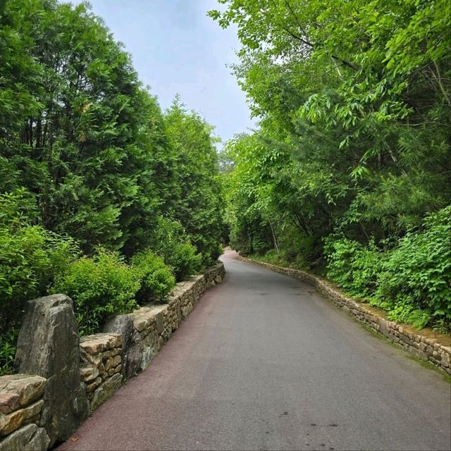 The Stay Healing Park
