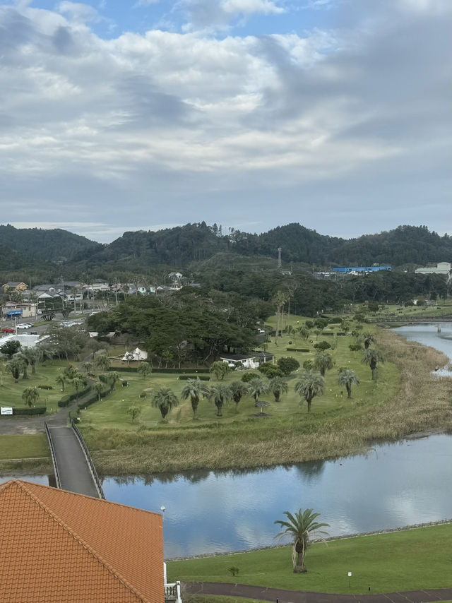 일본의 하와이 미야자키 🌴🇯🇵
