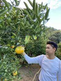 รีวิว Orange Garden “My Garden” – ม่อนแจ่ม 🍊