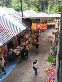 Bazar Kea Farm Cameron HighLand