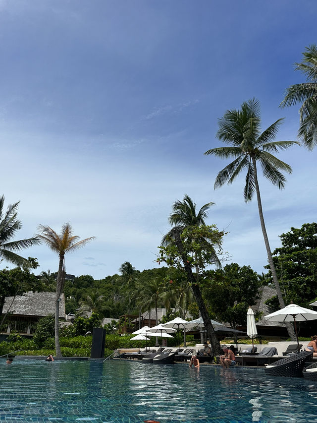바다와 가든뷰가 미쳤😍🌊🌿 ‘더 리츠칼튼 코사무이’( Ritz-Carlton Samui)