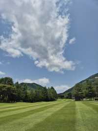 🏞️ 계룡대 체력단련장, 고요한 숲길 속 드라이브 한 스윙