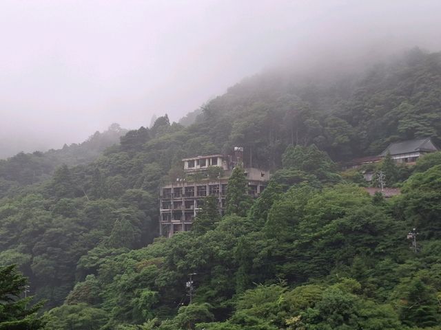 三重親子景點推薦｜御在所岳纜車：15分鐘帶孩子飛越四季，絕美又療癒！