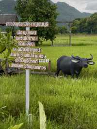 รักษ์คันนา กาญจนบุรี ก๋วยเตี๋ยวห้อยขาทุ่งนาข้างวัด