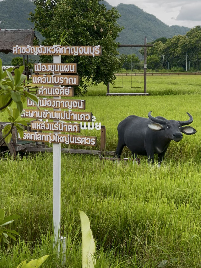 รักษ์คันนา กาญจนบุรี ก๋วยเตี๋ยวห้อยขาทุ่งนาข้างวัด