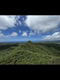 【森の息吹を感じる旅】沖縄の秘境「やんばるの森」で自然とふれあう